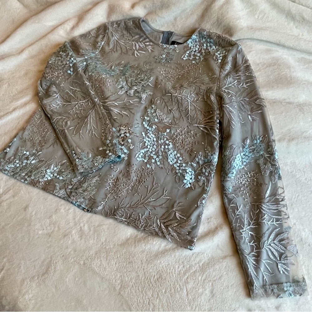 ✨ fairy core whimsical Frost Mesh Top | Embroidered Sequin Sheer Blouse ✨